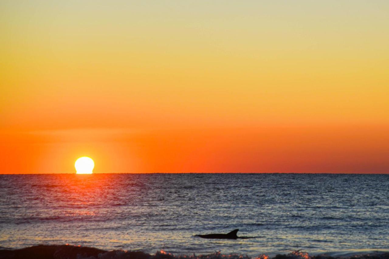 Appartamento Sea Cloisters 409 Hilton Head Island Esterno foto